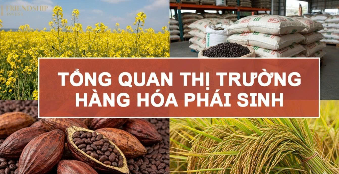 Hàng hoá phái sinh là gì? Tổng quan thị trường hàng hóa phái sinh